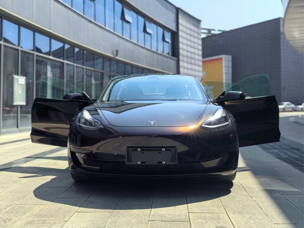 特斯拉 Model Y  2022款 改款 后輪驅(qū)動(dòng)版圖片