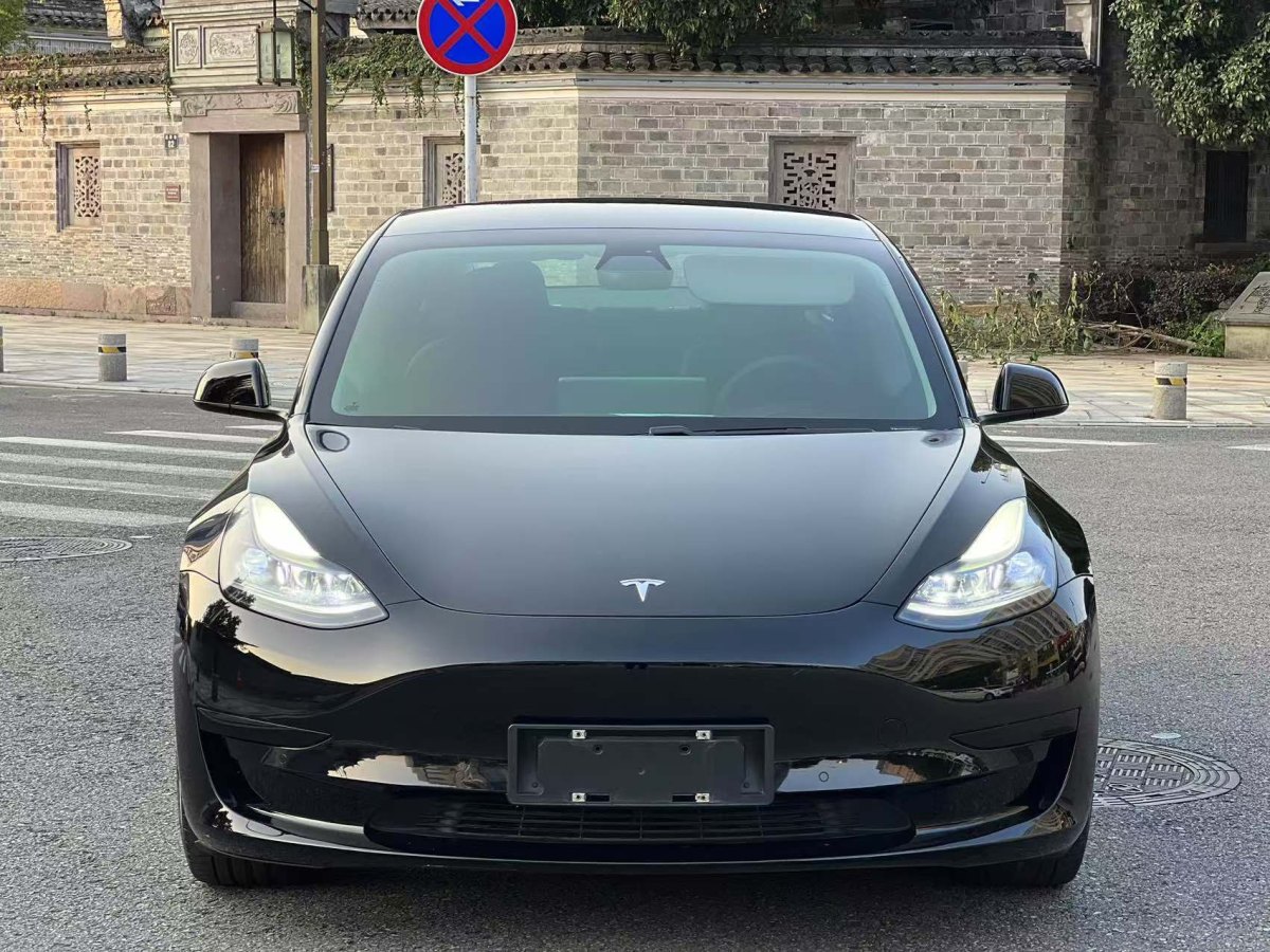 特斯拉 Model 3  2021款 標(biāo)準(zhǔn)續(xù)航后驅(qū)升級(jí)版 3D6圖片