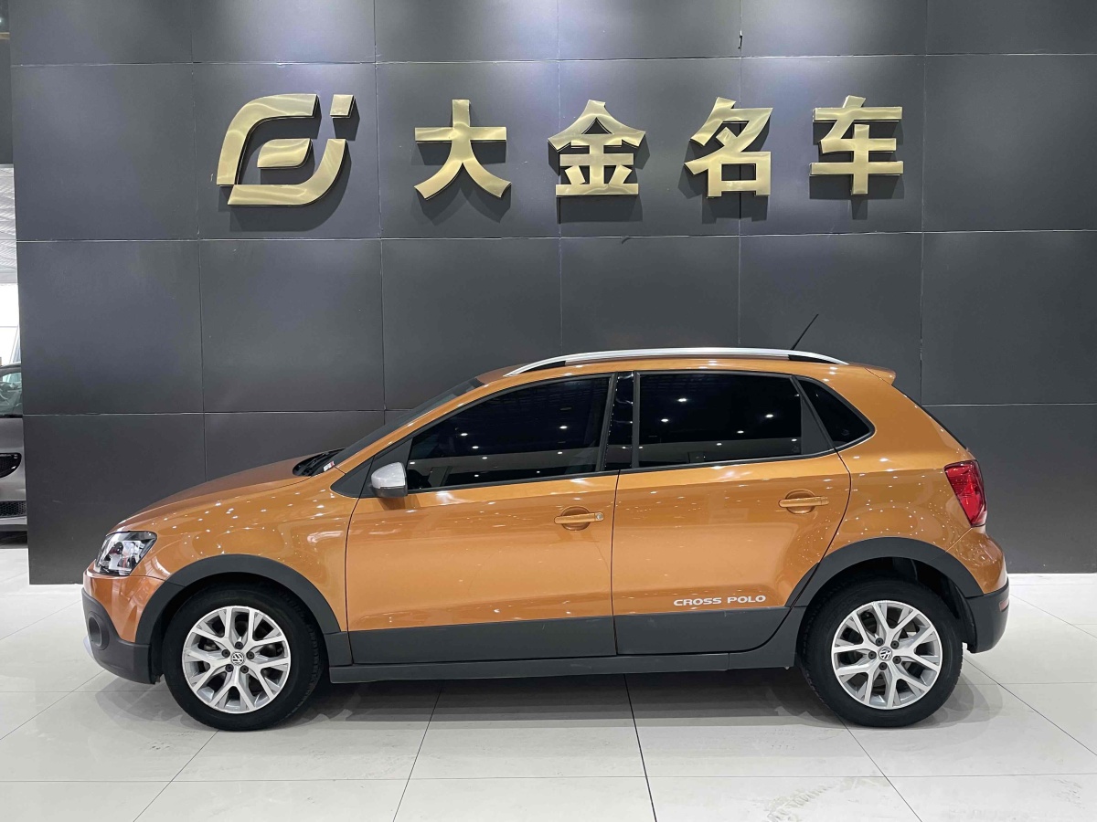 大眾 Polo  2014款 1.6L Cross Polo 自動圖片