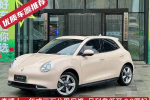 歐拉好貓 歐拉 400km標準續(xù)航 尊貴型 三元鋰