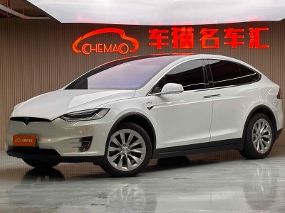 2017年9月 特斯拉 Model X Model X 100D 長(zhǎng)續(xù)航版圖片