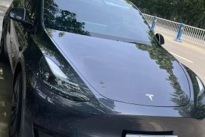 Model Y 特斯拉 后輪驅(qū)動版