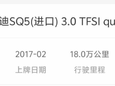 2017年1月 奥迪 奥迪Q5(进口) Q5 2.0T FSI Premium Plus 美规版图片