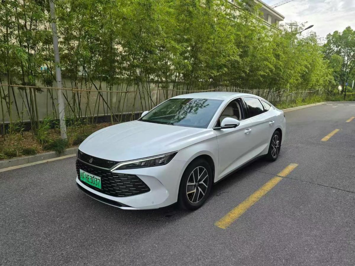 比亞迪 秦  2024款 出行版450圖片