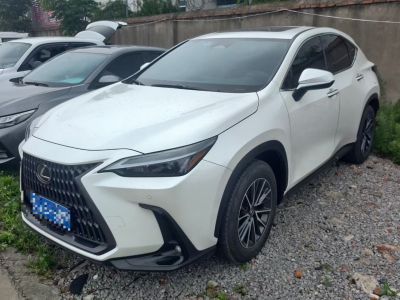 雷克薩斯 NX 圖片