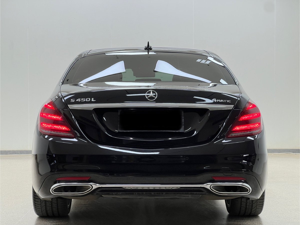 奔馳 奔馳S級  2019款 S 450 L 4MATIC 臻藏版圖片