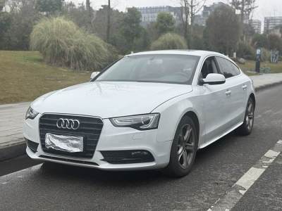 2013年5月 奧迪 奧迪A5(進(jìn)口) Sportback 40 TFSI圖片