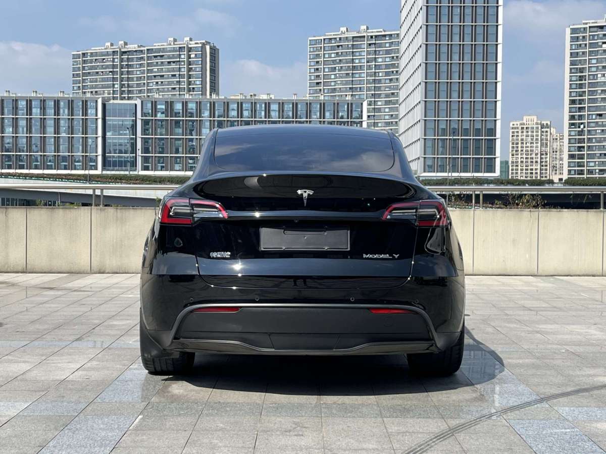 特斯拉 Model Y  2021款 改款 标准续航后驱升级版图片