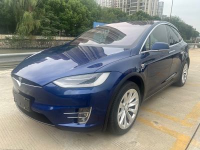 2018年2月 特斯拉 Model X Model X 100D 長(zhǎng)續(xù)航版圖片