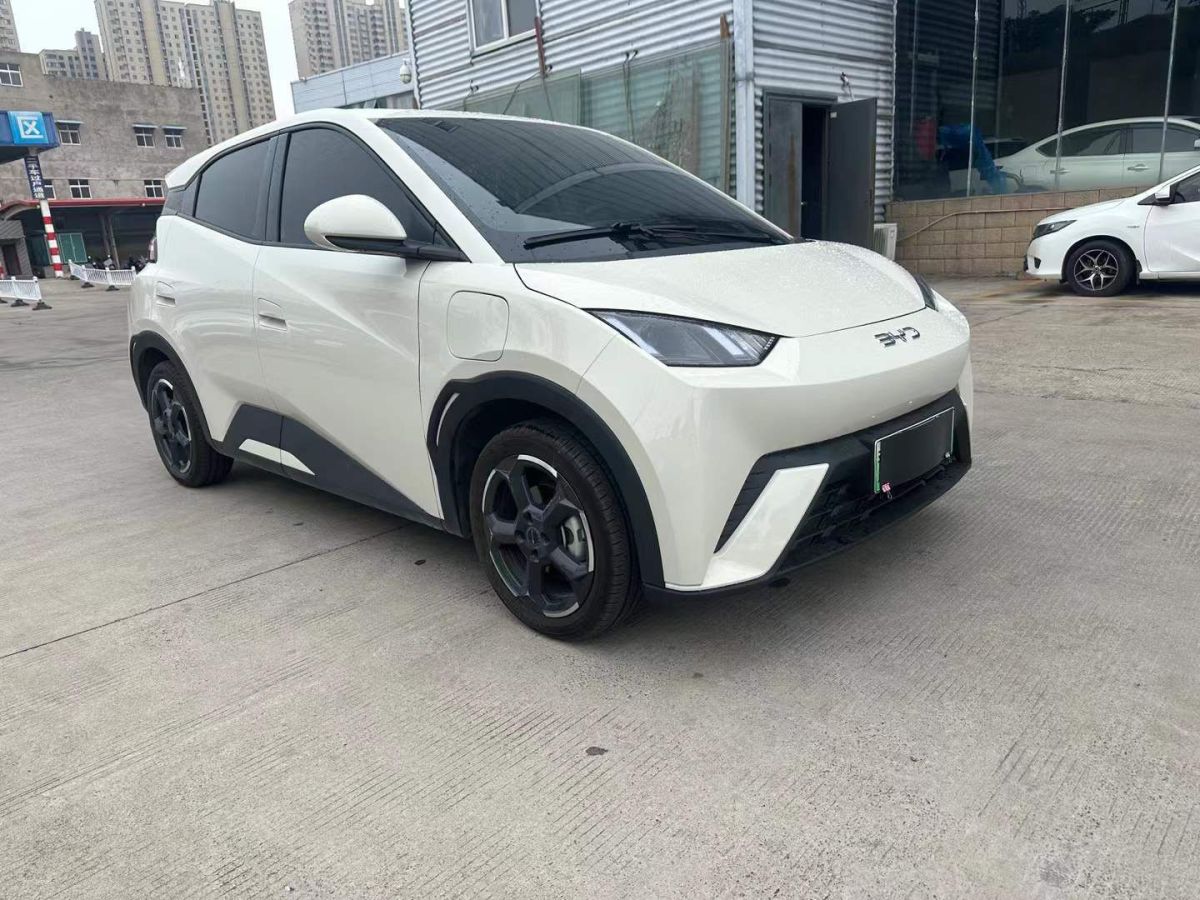 比亞迪 元Pro  2023款 320KM豪華型圖片