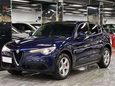 2019年10月 阿爾法·羅密歐 Stelvio 2.0T 200HP 精英版圖片