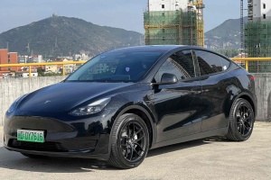 Model Y 特斯拉 后轮驱动版