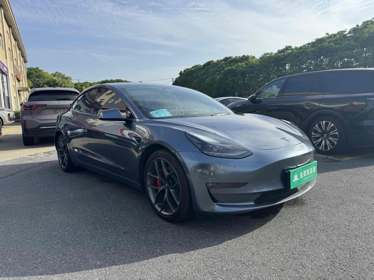 特斯拉 Model 3  2022款 Performance高性能全輪驅(qū)動版圖片