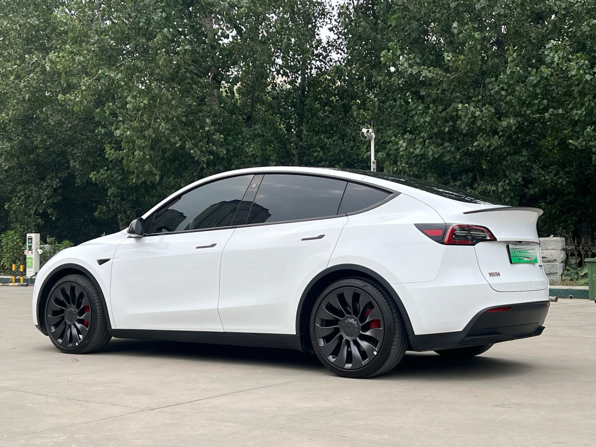 特斯拉 Model Y  2022款 Performance高性能全輪驅(qū)動(dòng)版圖片