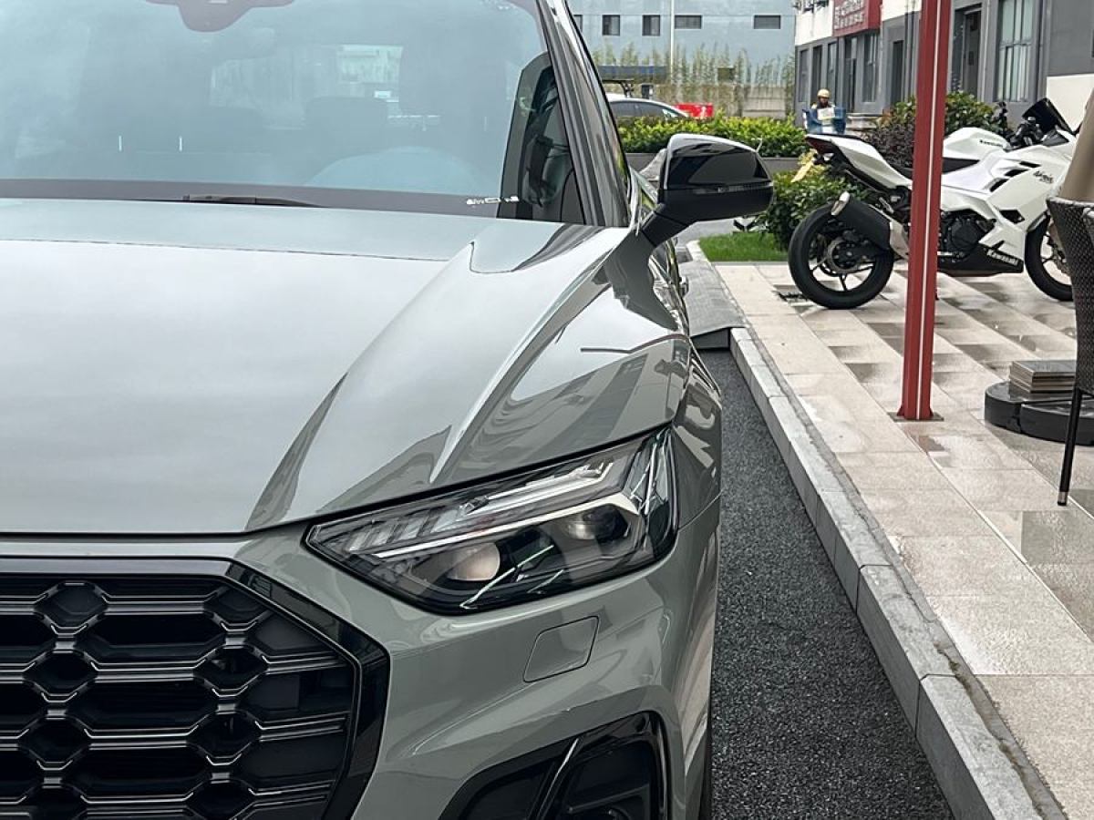 奧迪 奧迪SQ5  2014款 SQ5 3.0 TFSI quattro圖片