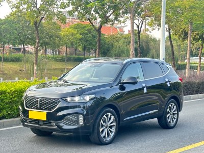 2018年11月 WEY VV6 2.0T 两驱旗舰型图片