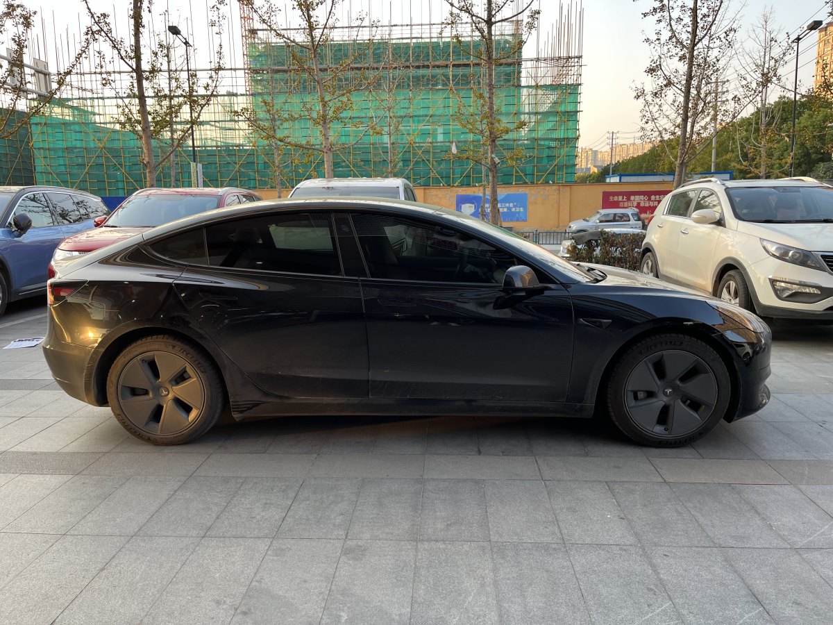 特斯拉 Model 3  2021款 標(biāo)準(zhǔn)續(xù)航后驅(qū)升級(jí)版 3D6圖片