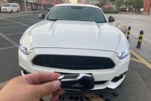 Mustang 福特 2.3T 性能版