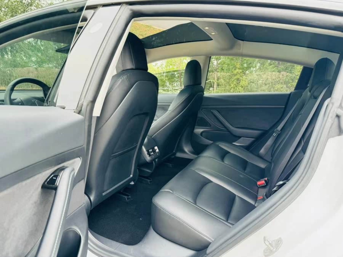 特斯拉 Model 3  2020款 改款 標(biāo)準(zhǔn)續(xù)航后驅(qū)升級版圖片