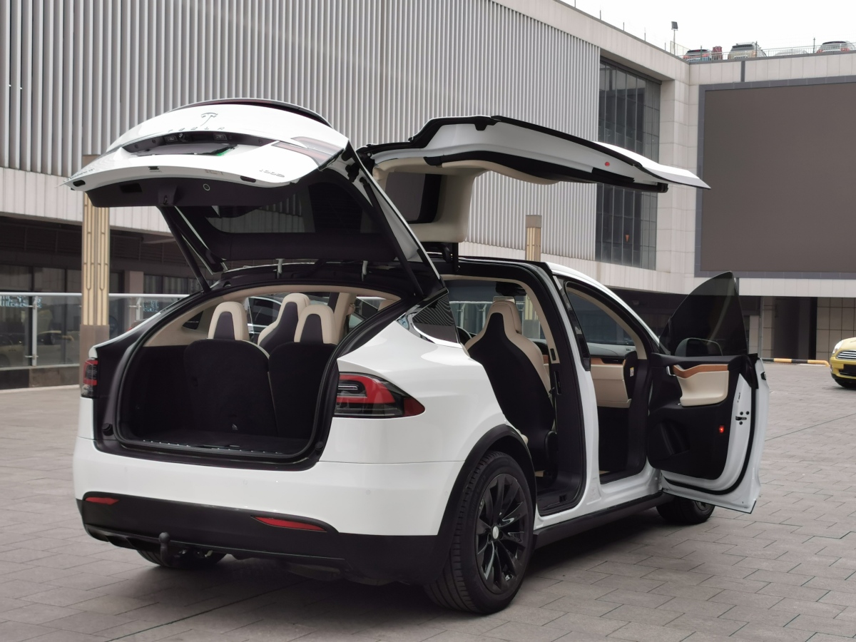 特斯拉 Model X  2017款 Model X 100D 長(zhǎng)續(xù)航版圖片