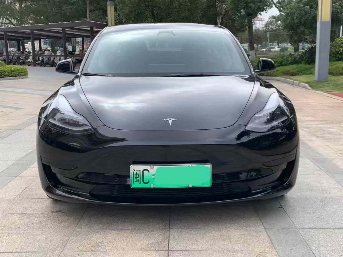 特斯拉 Model Y  2021款 標準續(xù)航后驅(qū)版圖片