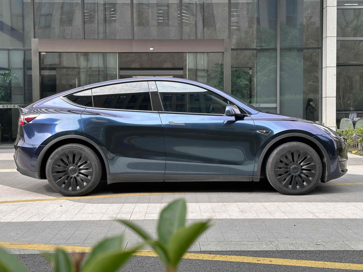 特斯拉 Model Y  2020款 改款 長(zhǎng)續(xù)航后輪驅(qū)動(dòng)版圖片