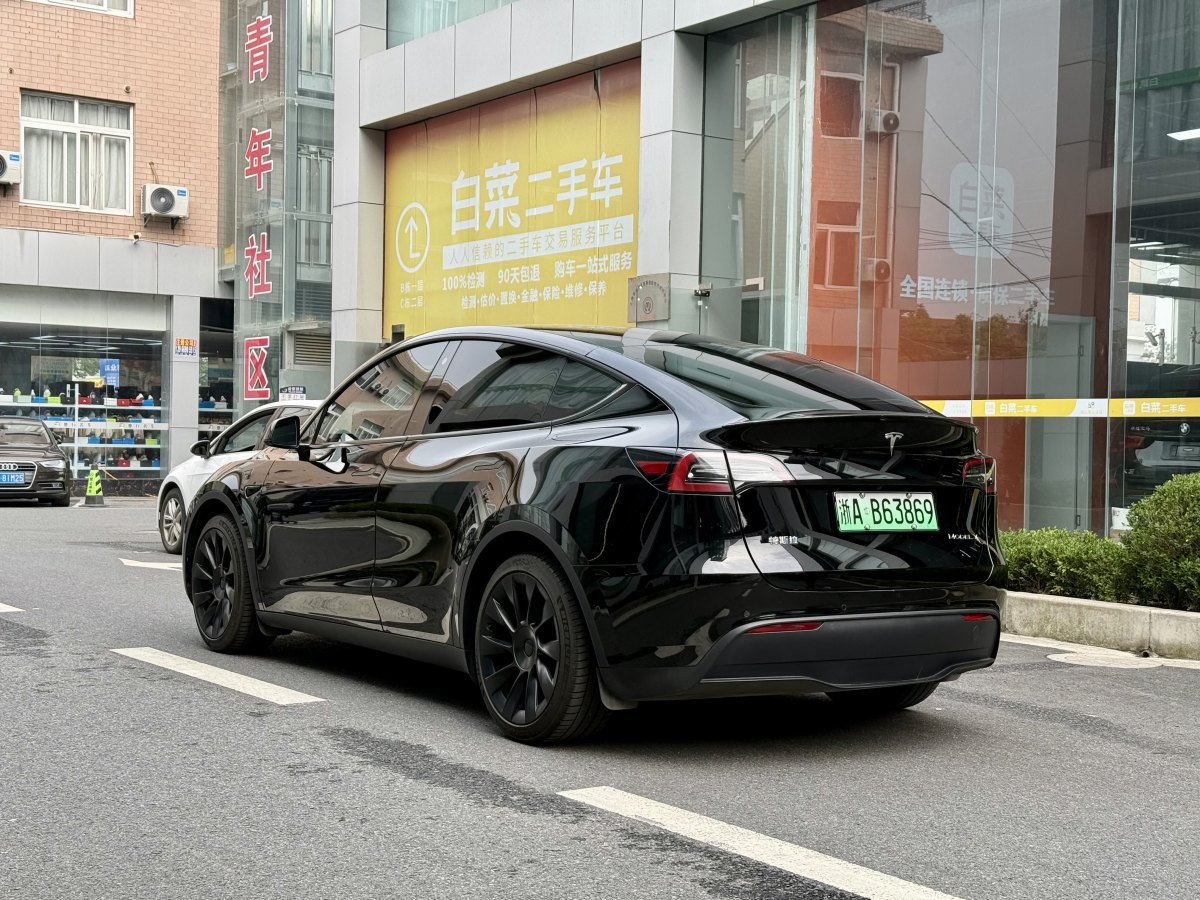 特斯拉 Model Y  2020款 改款 長(zhǎng)續(xù)航后輪驅(qū)動(dòng)版圖片