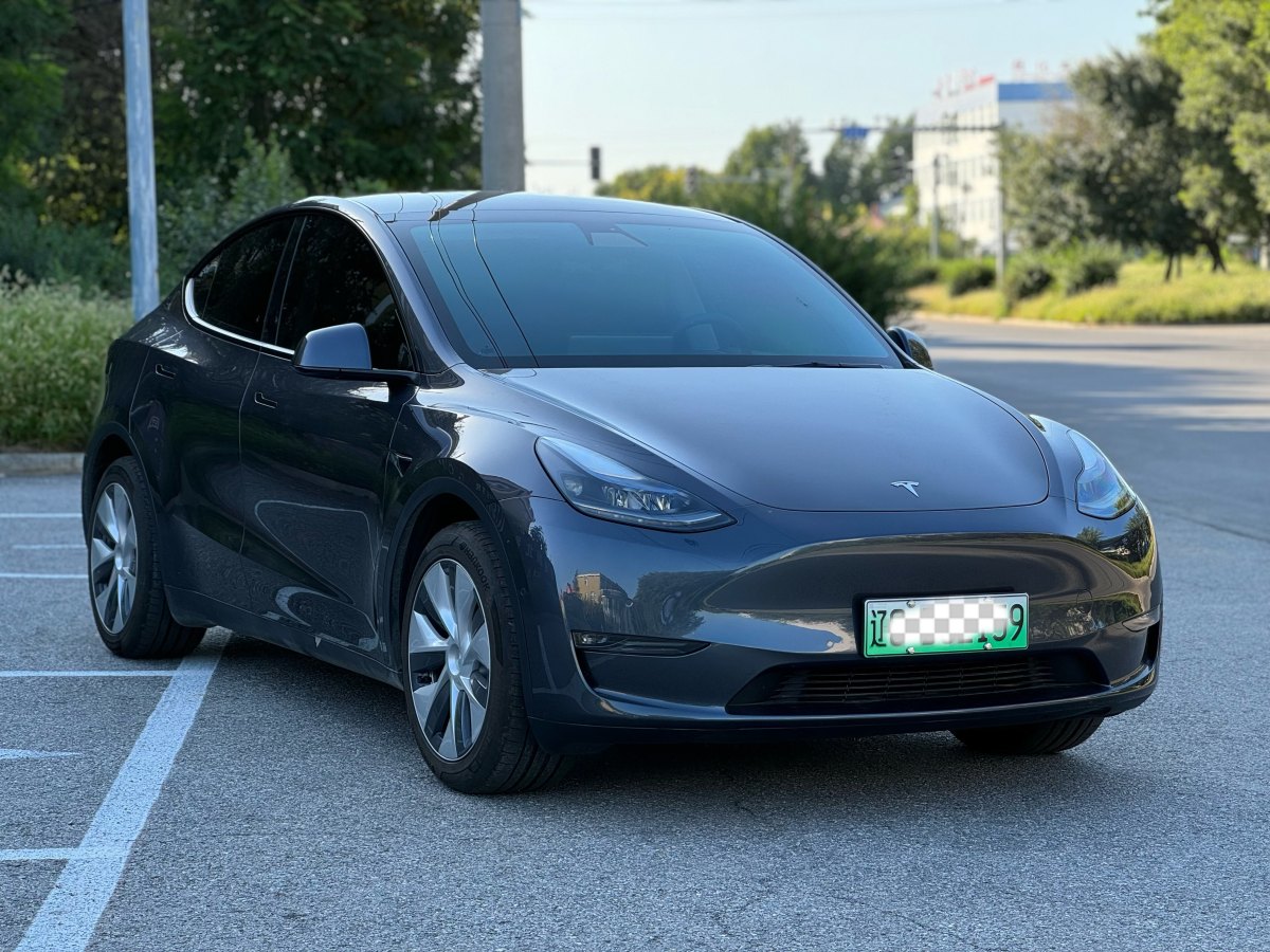 特斯拉 Model Y  2021款 改款 Performance高性能全轮驱动版图片