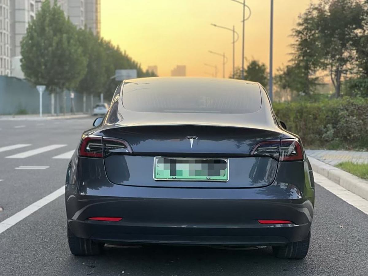 特斯拉 Model 3  2020款 改款 標準續(xù)航后驅升級版圖片