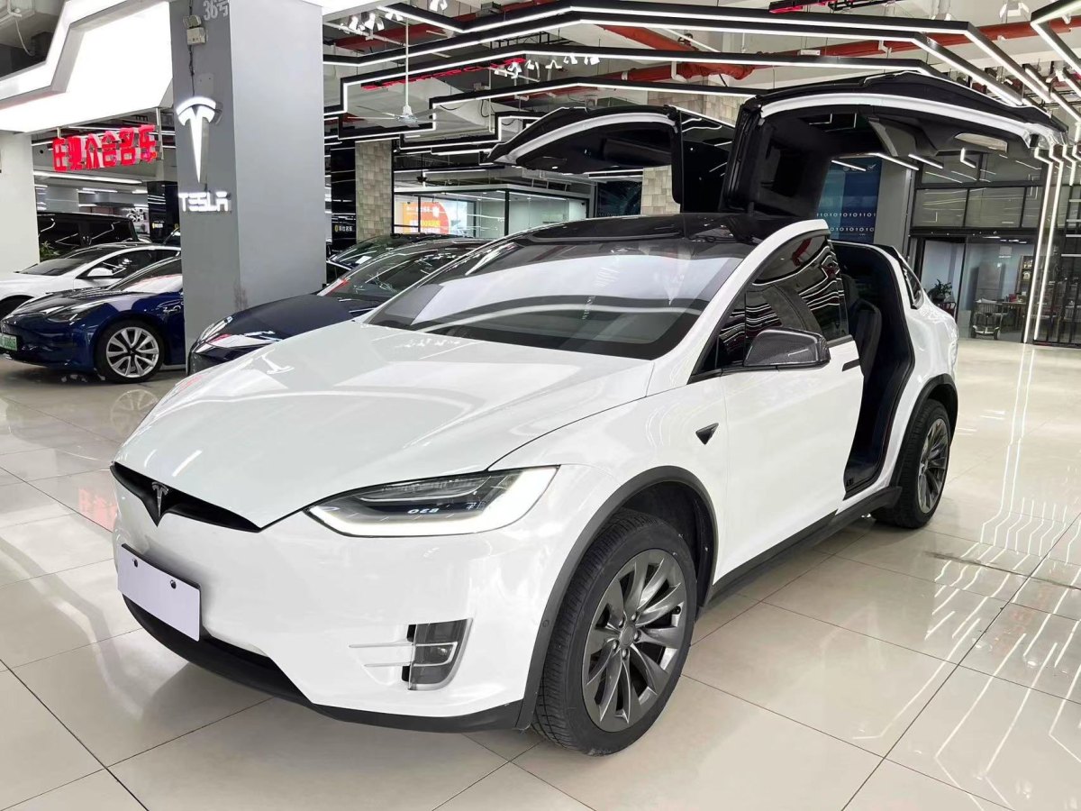 2020年3月特斯拉 Model X  2019款 長續(xù)航版