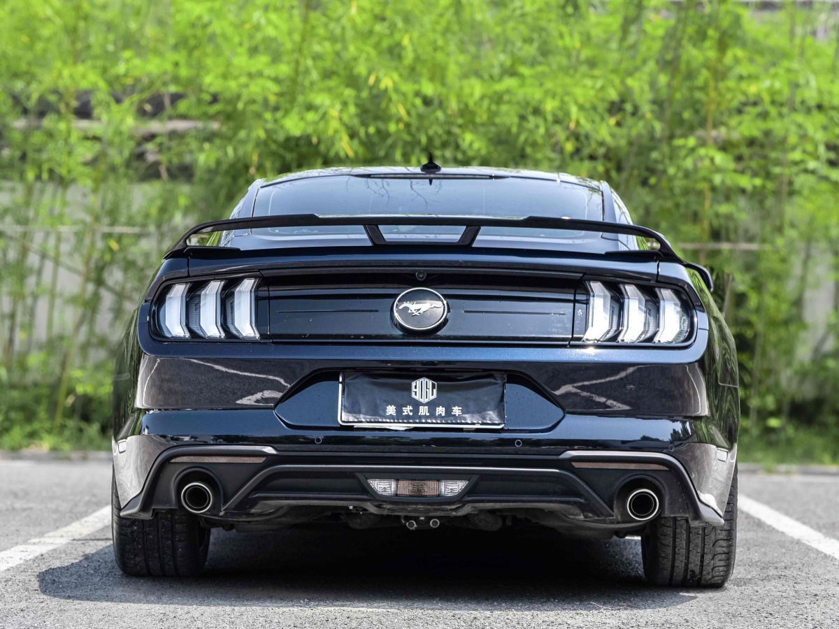 2022年1月福特 Mustang  2021款 2.3L EcoBoost 驰影性能进阶版