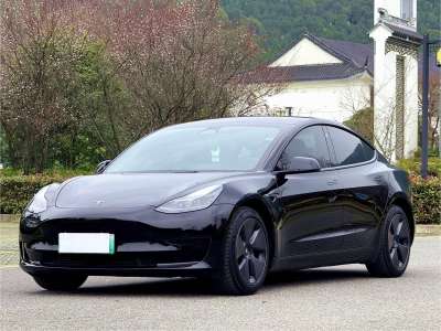 2022年9月 特斯拉 Model 3 后輪驅動版圖片