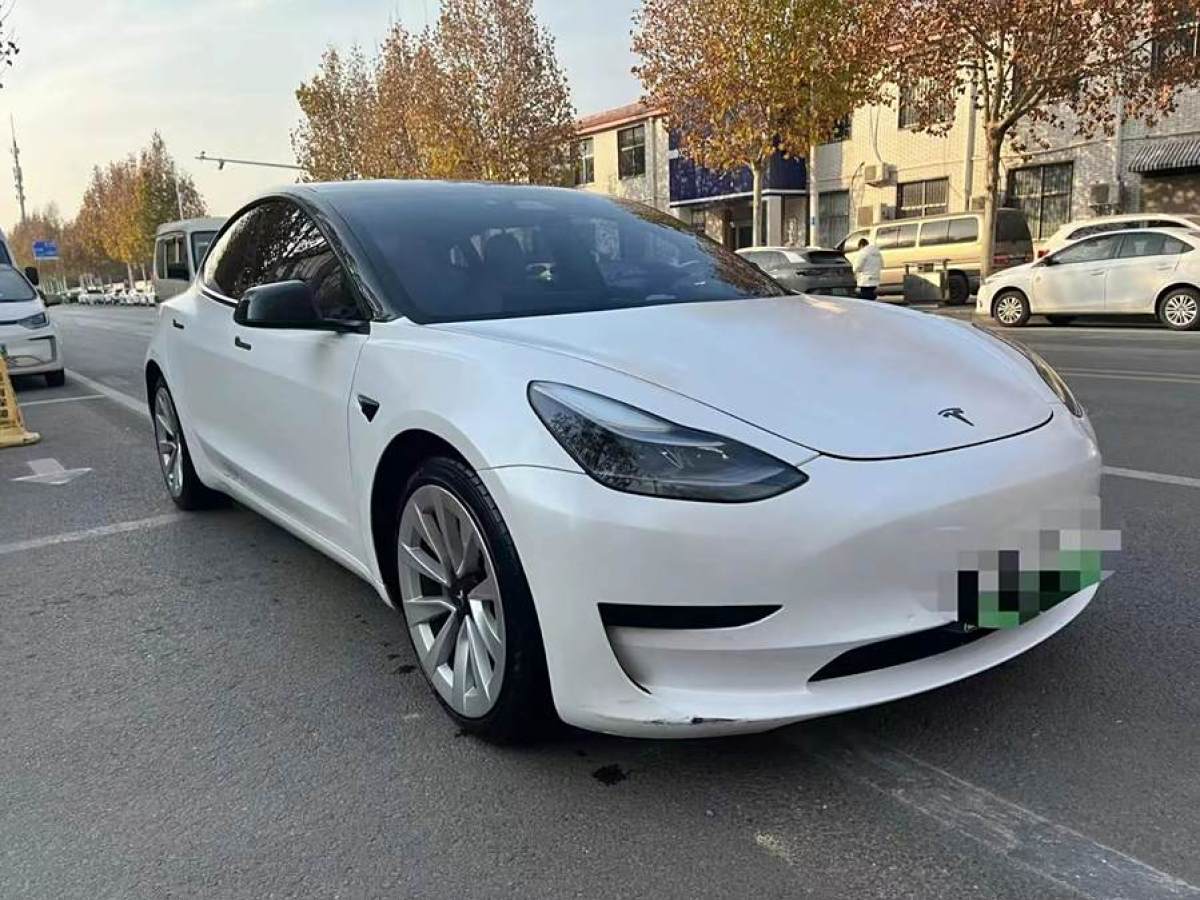 特斯拉 Model 3  2021款 改款 標(biāo)準(zhǔn)續(xù)航后驅(qū)升級(jí)版圖片