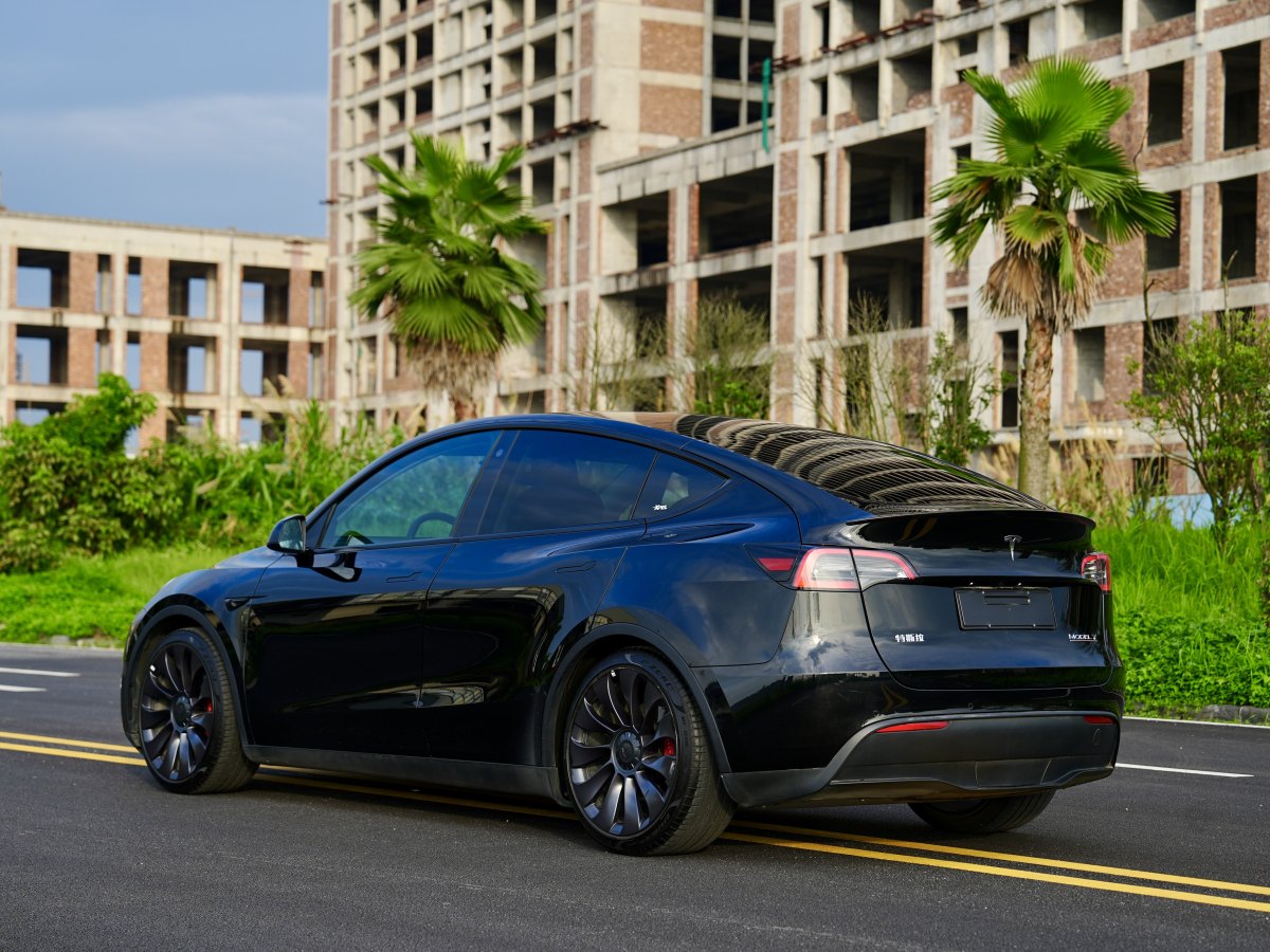 特斯拉 Model Y  2021款 改款 Performance高性能全輪驅(qū)動版圖片