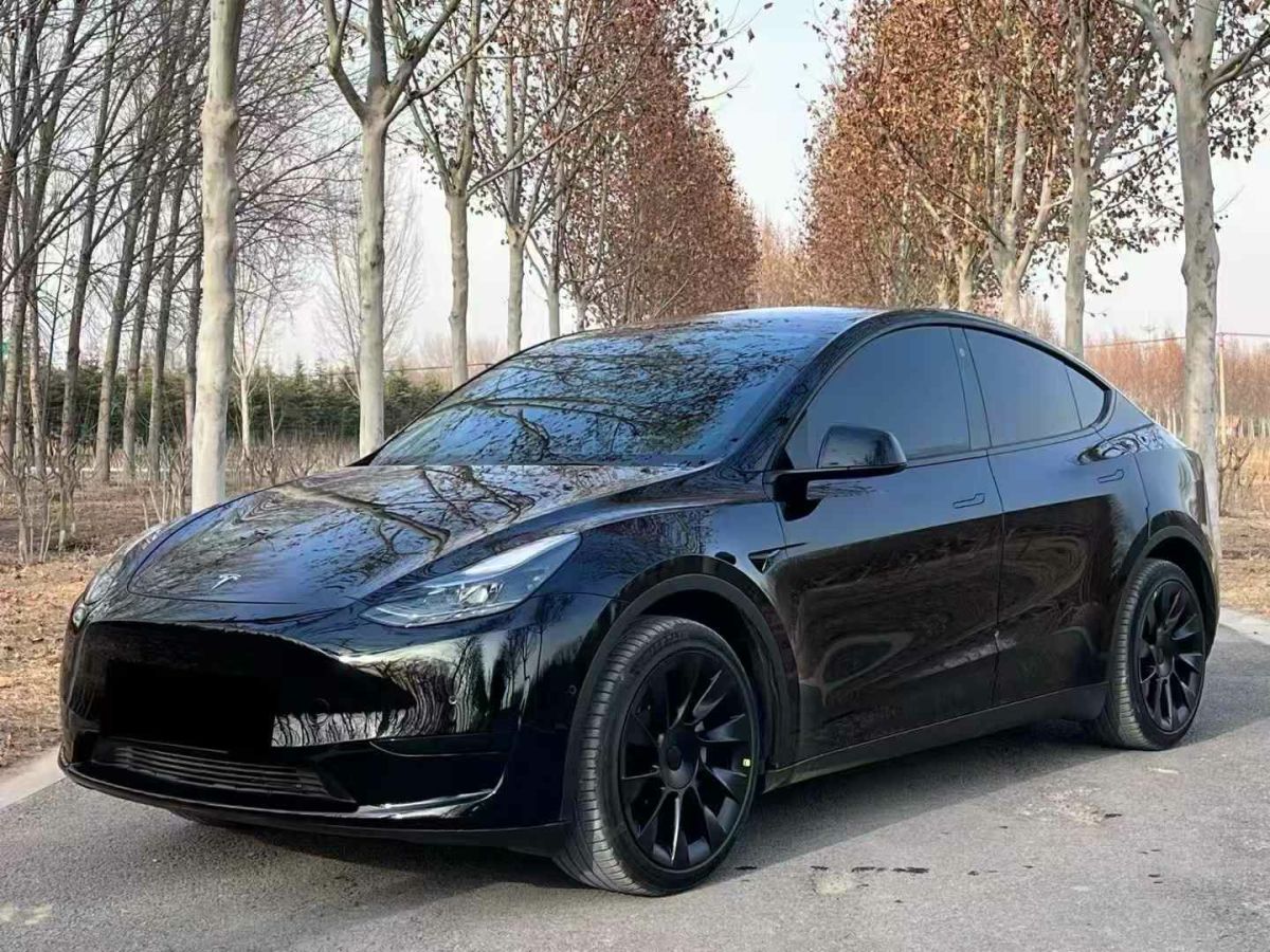 特斯拉 Model S  2023款 三電機(jī)全輪驅(qū)動(dòng) Plaid版圖片