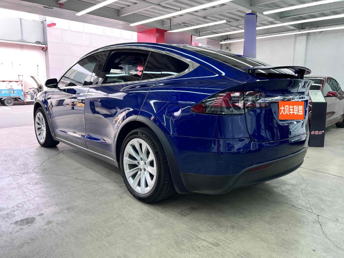 特斯拉 Model X  2019款 長續(xù)航版圖片