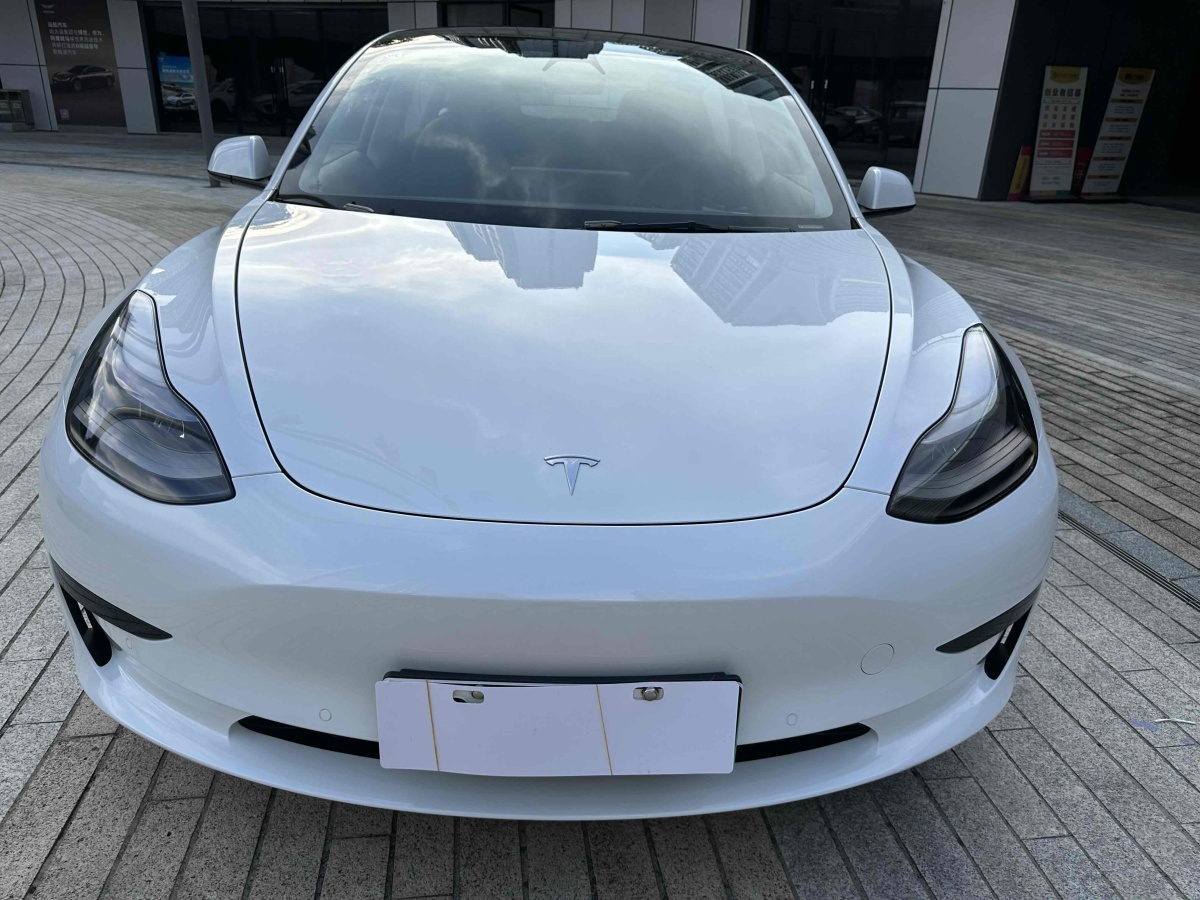 2023年6月特斯拉 Model 3  2022款 改款 后輪驅(qū)動版