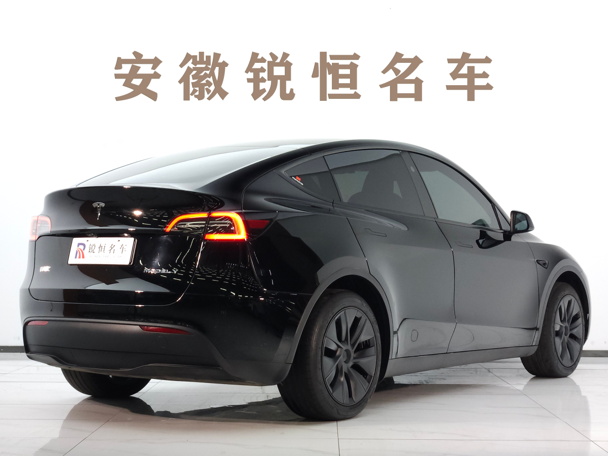 特斯拉 Model Y  2020款 改款 長續(xù)航后輪驅(qū)動版圖片