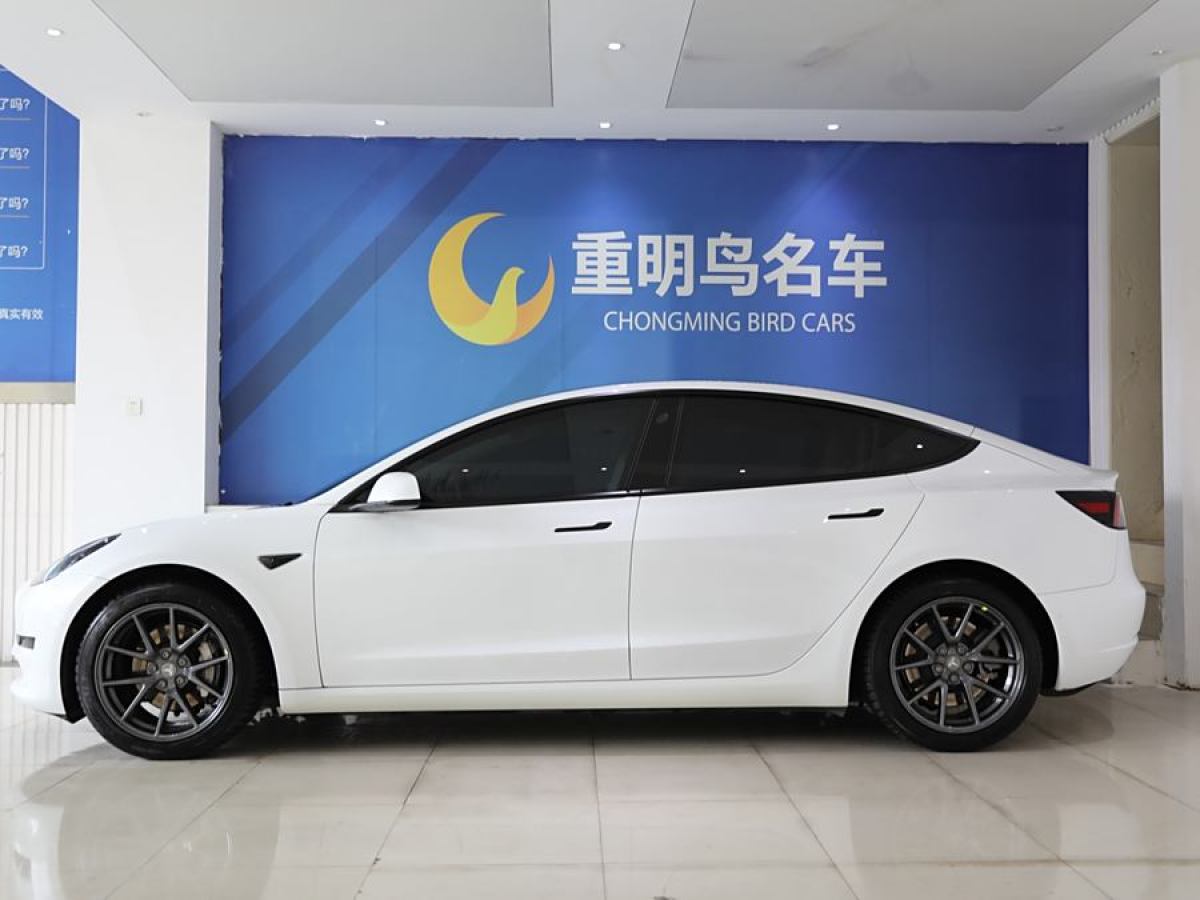 特斯拉 Model 3  2021款 改款 標準續(xù)航后驅(qū)升級版圖片