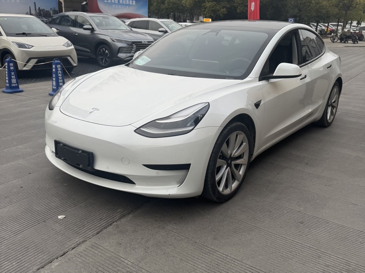 2020年7月特斯拉 Model 3  2019款 標(biāo)準續(xù)航后驅(qū)升級版