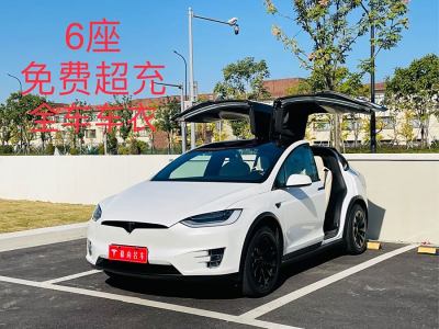 2020年1月 特斯拉 Model X 長續(xù)航版圖片