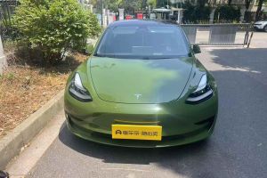 Model X 特斯拉 Performance 高性能版