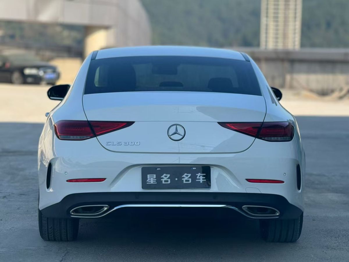 奔馳 奔馳CLS級(jí)  2020款 CLS 300 豪華型圖片