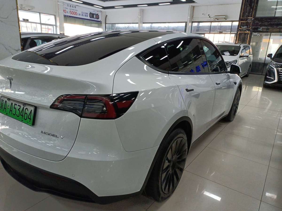 特斯拉 Model Y  2021款 標(biāo)準(zhǔn)續(xù)航后驅(qū)版圖片