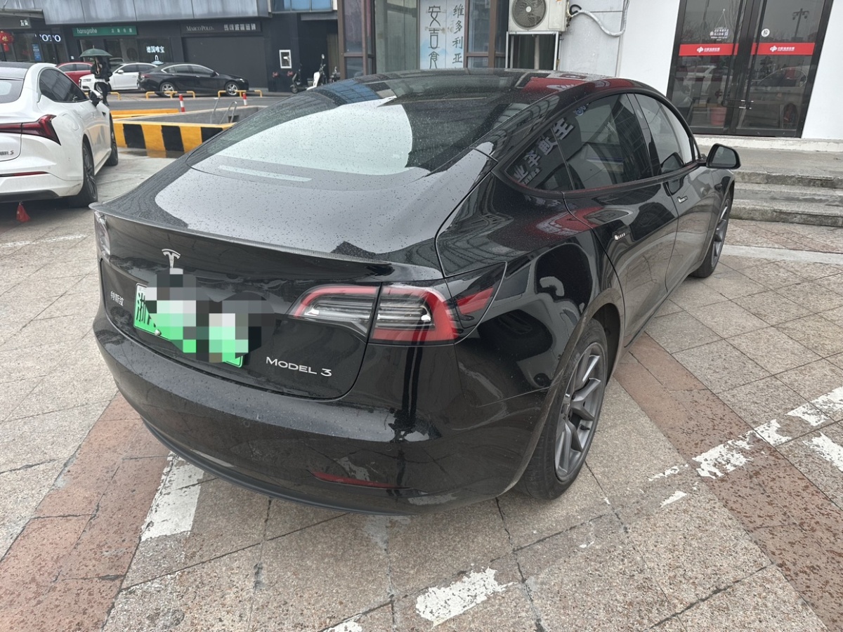 特斯拉 Model 3  2021款 標(biāo)準(zhǔn)續(xù)航后驅(qū)升級(jí)版 3D6圖片