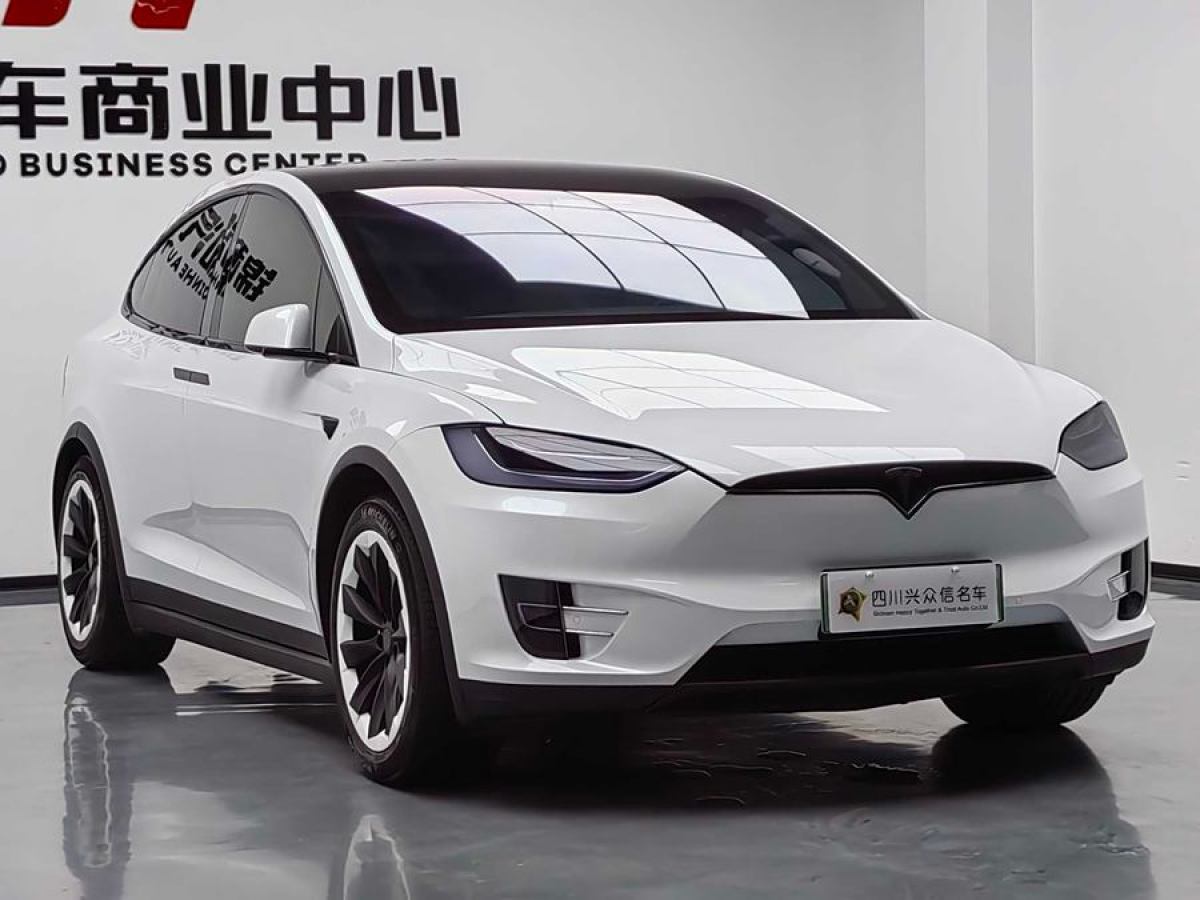 特斯拉 Model X  2019款 長續(xù)航版圖片