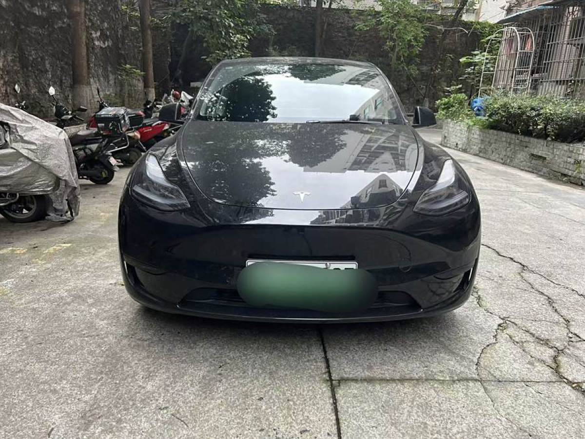 特斯拉 Model 3  2020款 改款 長續(xù)航后輪驅(qū)動版圖片