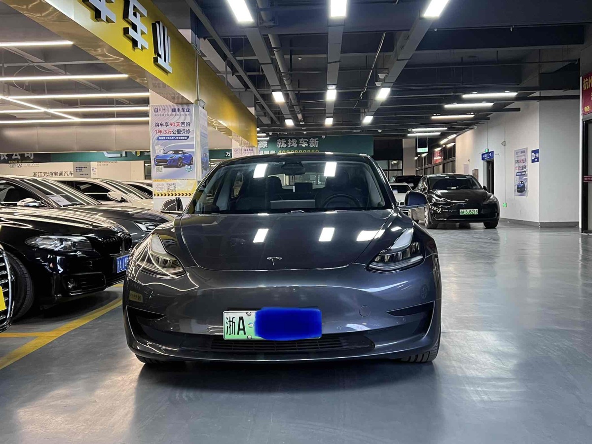 特斯拉 Model 3  2019款 標(biāo)準(zhǔn)續(xù)航后驅(qū)升級(jí)版圖片