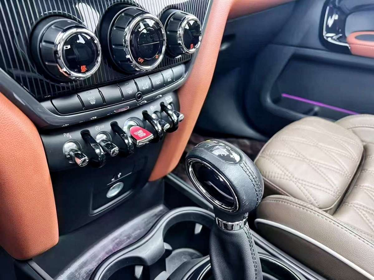 MINI COUNTRYMAN  2019款 2.0T COOPER S ALL4 藝術(shù)家圖片