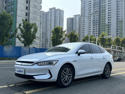 2024年6月 比亚迪 秦PLUS 荣耀版 EV 510KM领先型图片